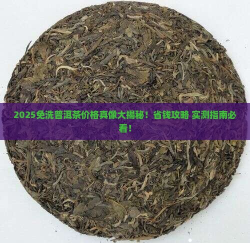 免洗普洱茶价格