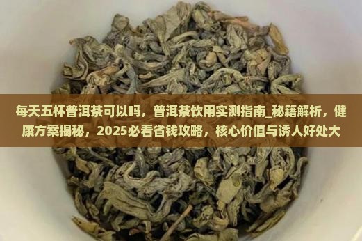 每天五杯普洱茶可以吗