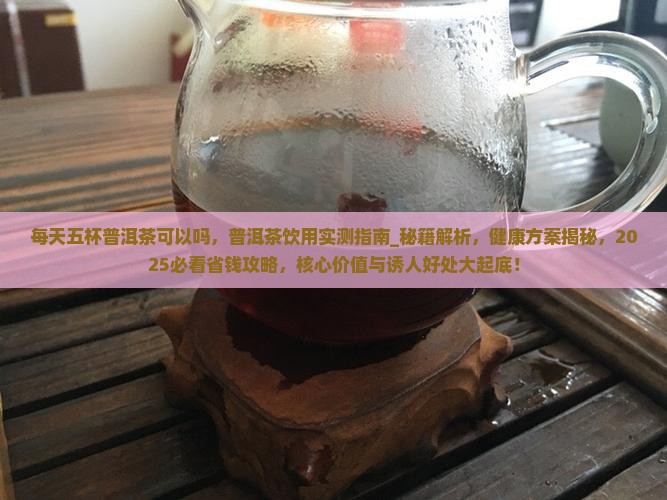 每天五杯普洱茶可以吗