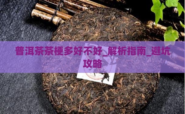 普洱茶茶梗多好不好