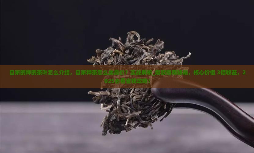 自家的种的茶叶怎么介绍