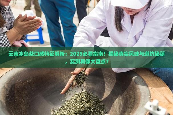 云南冰岛茶的口感特征描述