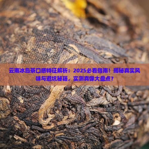 云南冰岛茶的口感特征描述