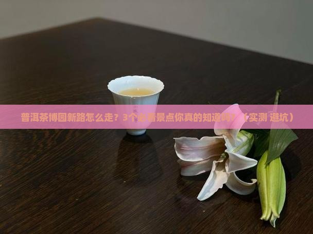 普洱茶博园新路