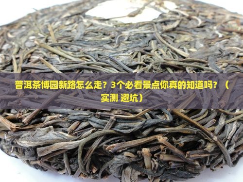 普洱茶博园新路