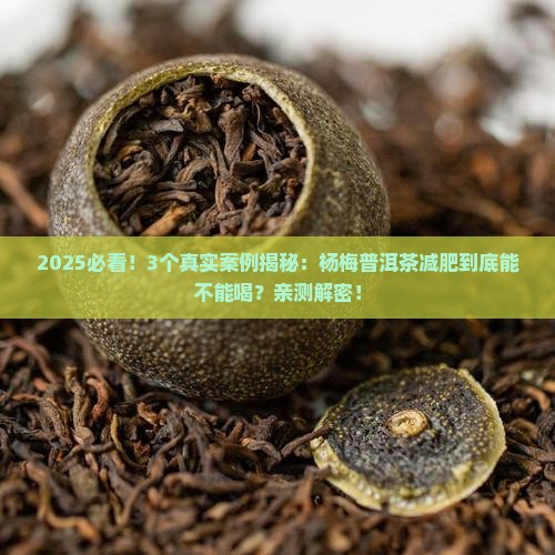 杨梅普洱茶减肥可以喝吗