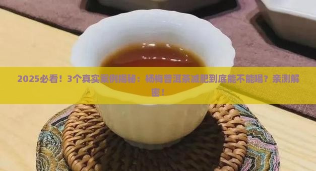 杨梅普洱茶减肥可以喝吗