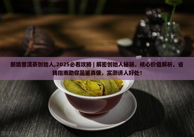 新境普洱茶创始人