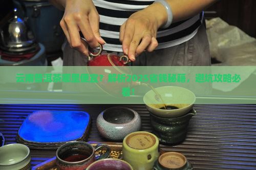 云南普洱茶哪里便宜
