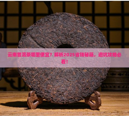 云南普洱茶哪里便宜