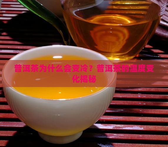 普洱茶为什么会变冷