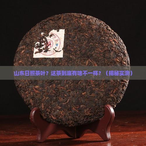 山东日照茶叶山东日照茶叶