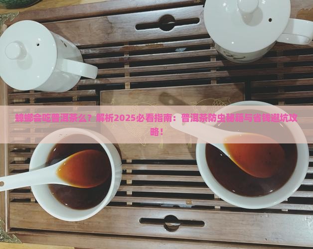蟑螂会吃普洱茶么