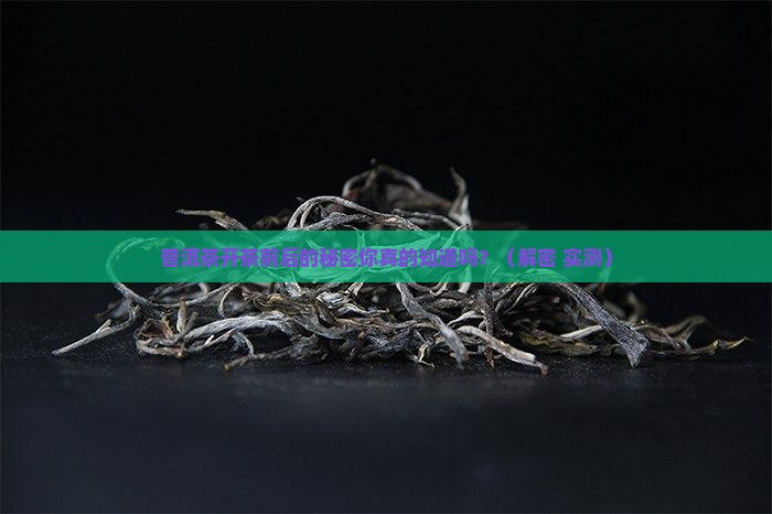 普洱茶开茶前后区别