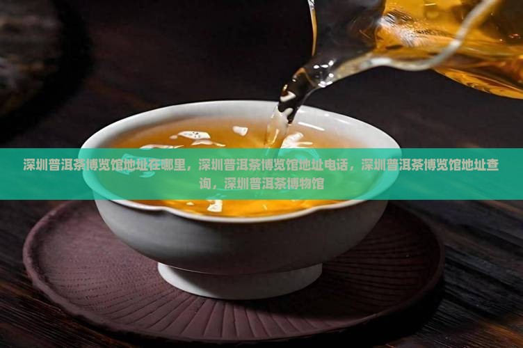深圳普洱茶博览馆地址
