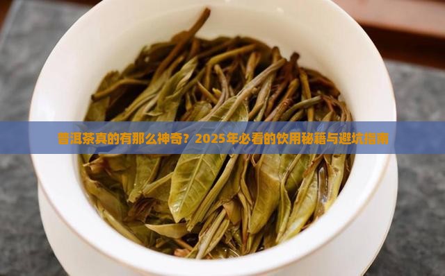 普洱茶作用与功效那些 普洱茶作用与功效那些