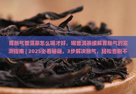 胃胀气普洱茶怎么喝才好