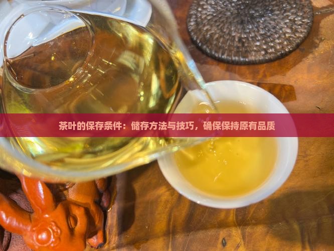 茶叶的保存条件