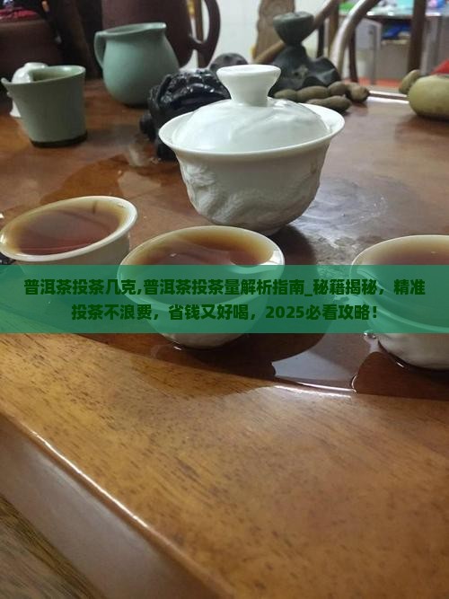 普洱茶投茶几克