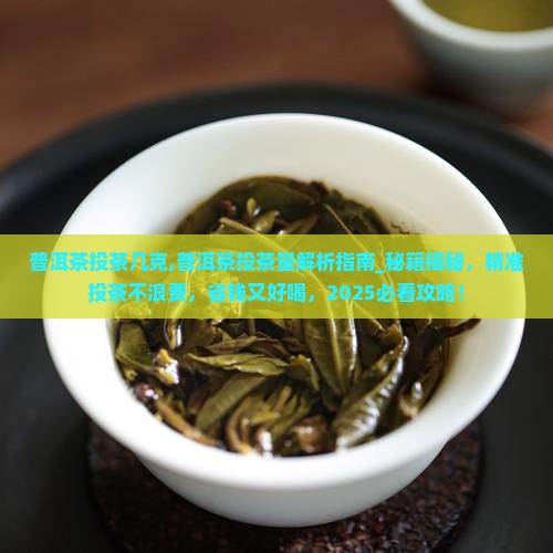 普洱茶投茶几克