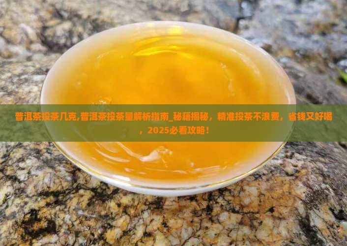 普洱茶投茶几克