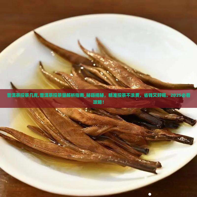 普洱茶投茶几克