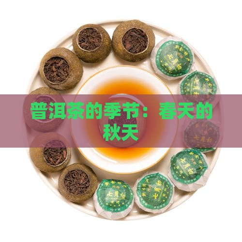 普洱茶春天的秋天