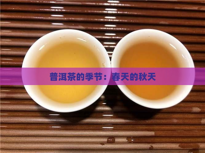 普洱茶春天的秋天