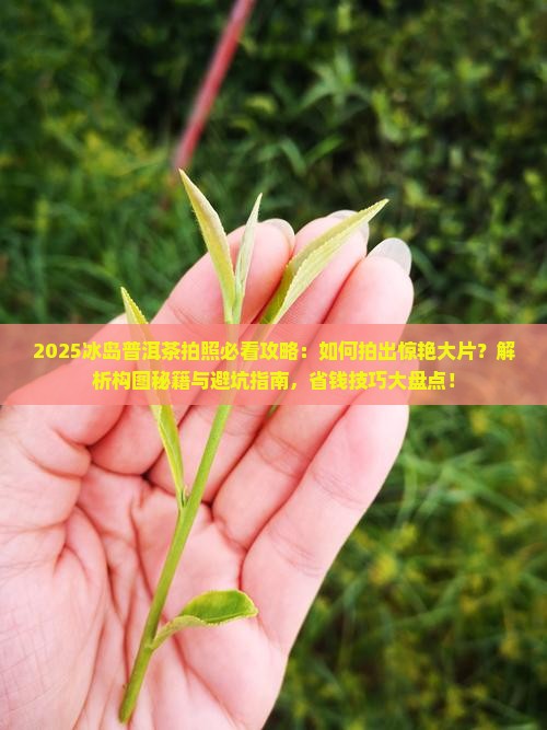 冰岛普洱茶怎么拍照推荐