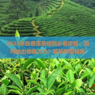 冰岛普洱茶怎么拍照推荐