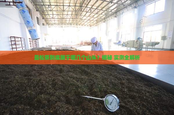 曼松茶是哪几个山头