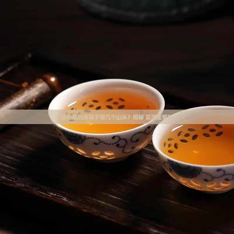 曼松茶是哪几个山头