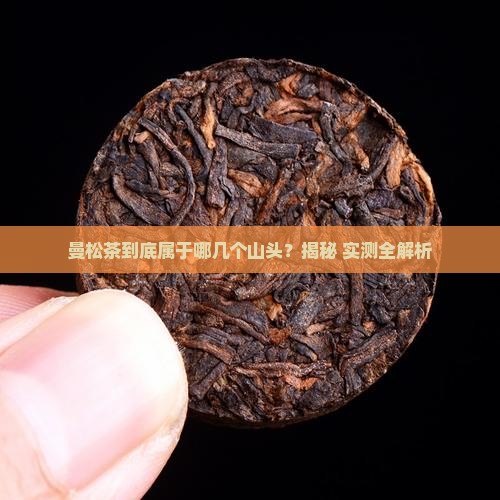 曼松茶是哪几个山头
