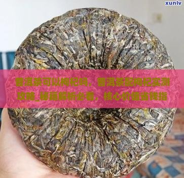 普洱茶可以枸杞吗 普洱茶可以枸杞吗