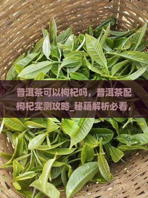 普洱茶可以枸杞吗 普洱茶可以枸杞吗