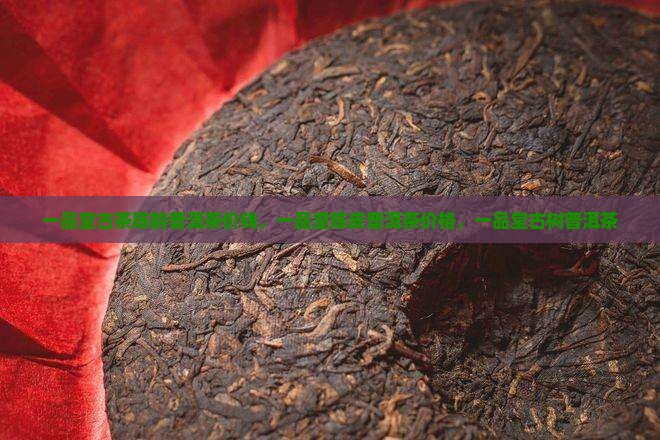 一品堂古茶陈韵普洱茶