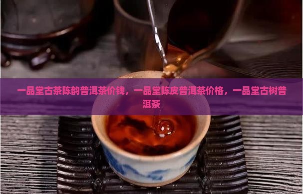 一品堂古茶陈韵普洱茶