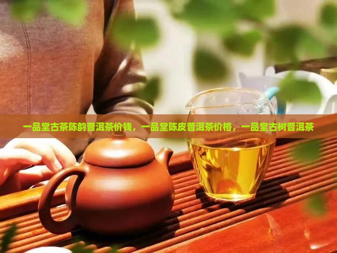 一品堂古茶陈韵普洱茶
