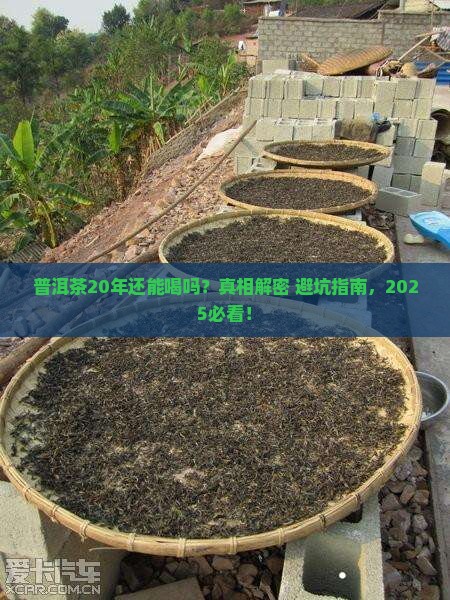 普洱茶20年可喝吗