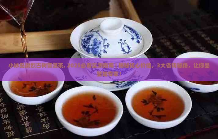 小冰岛磨烈古树普洱茶