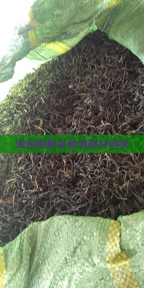 淘宝哪里买普洱茶好些啊