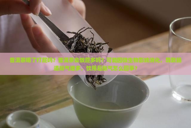 普洱茶喝了打屁吗