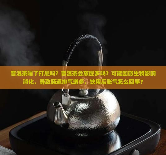 普洱茶喝了打屁吗