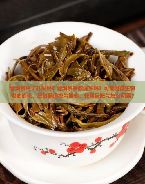 普洱茶喝了打屁吗