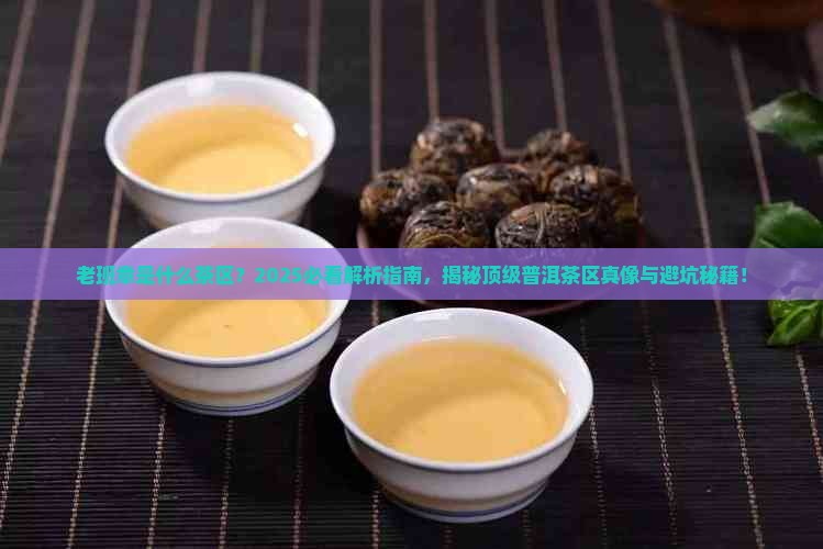老班章是什么茶区