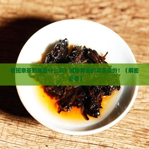 老班章茶是属于什么茶