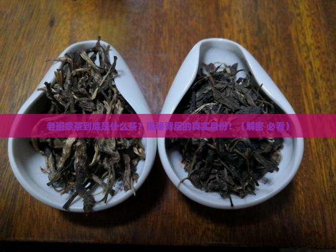 老班章茶是属于什么茶