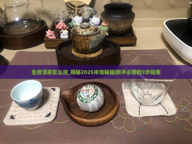 生普洱茶怎么沏