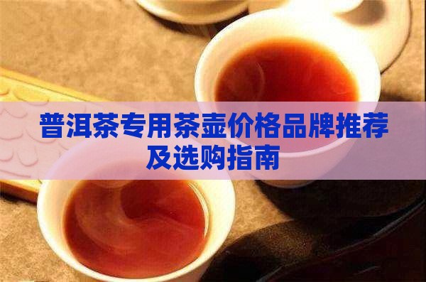 普洱茶专用茶壶