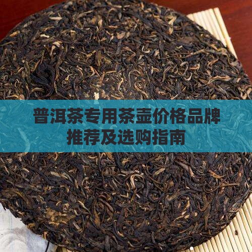 普洱茶专用茶壶